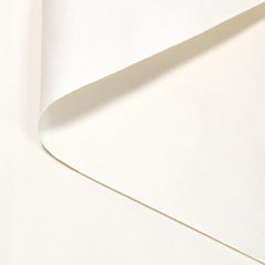Bananatex fabric swatch natural white dobby twill uncoated